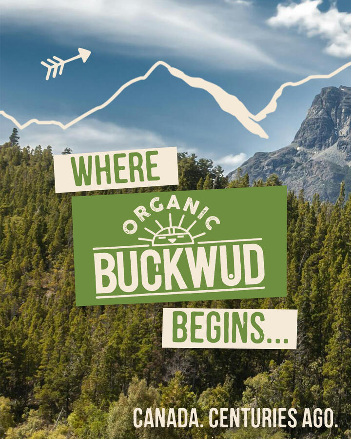 Buckwud Buckwud